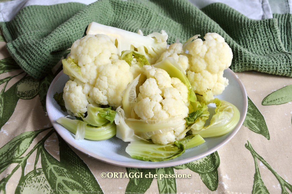 Boiled Cauliflower – Hot or Cold Water?