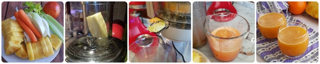 fruit and vegetable juice with extractor