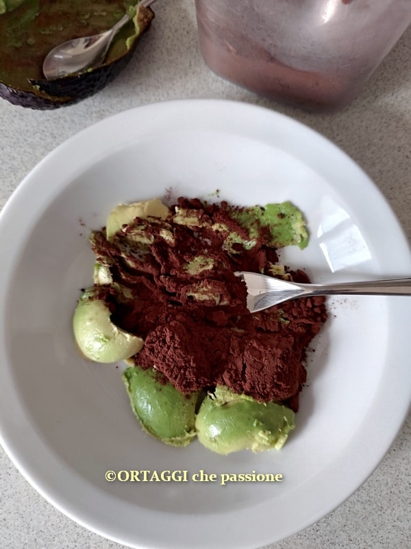 add cocoa and avocado