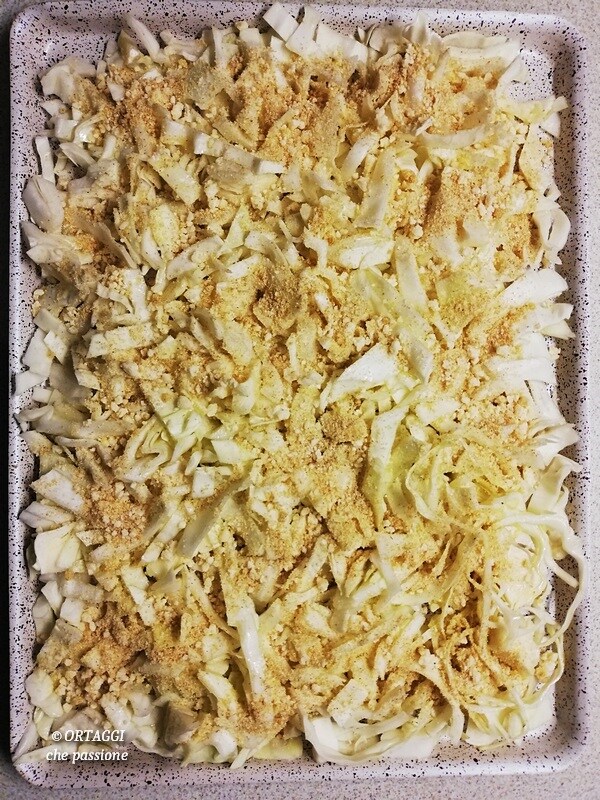 cabbage before gratinating