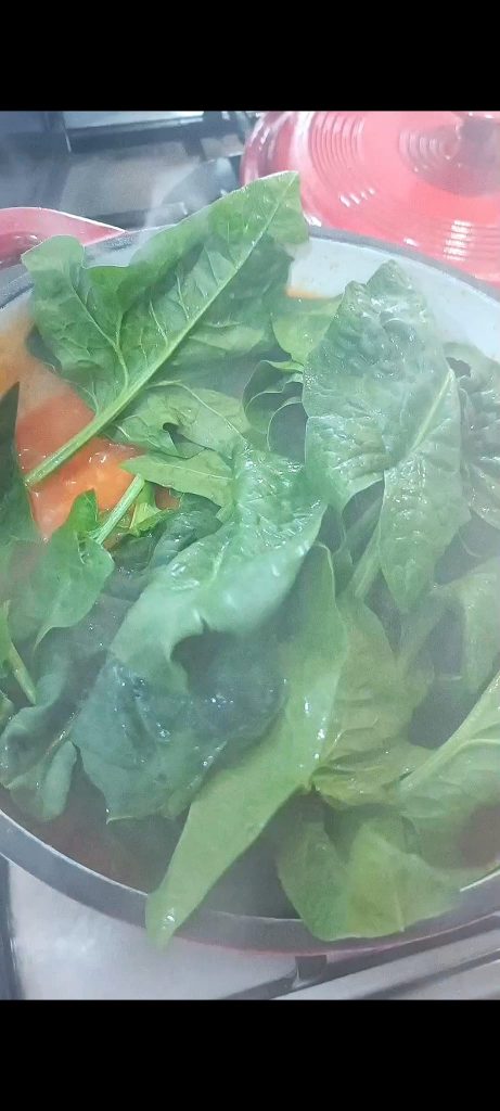 Spinach in pot