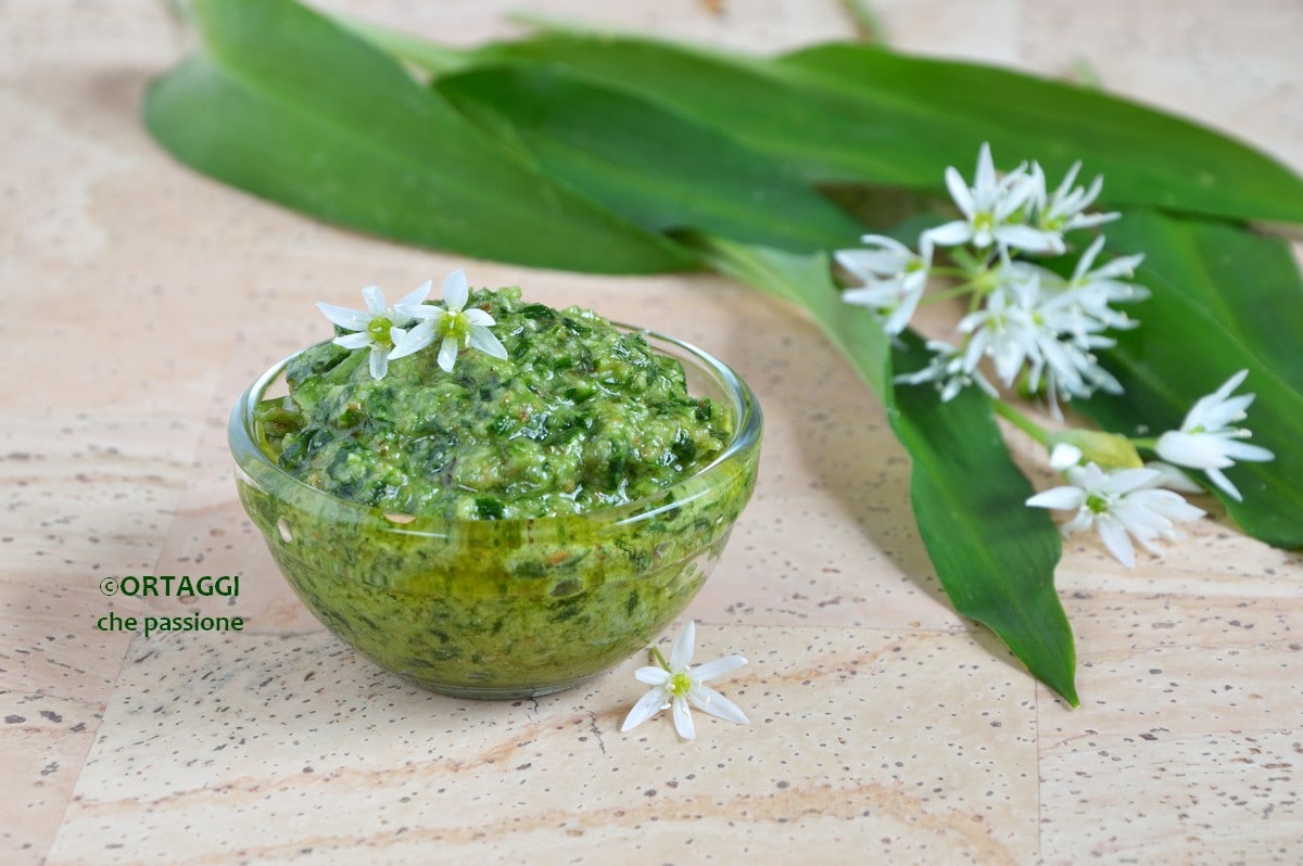 Wild Garlic Pesto, also Sauce and Pâté Recipe