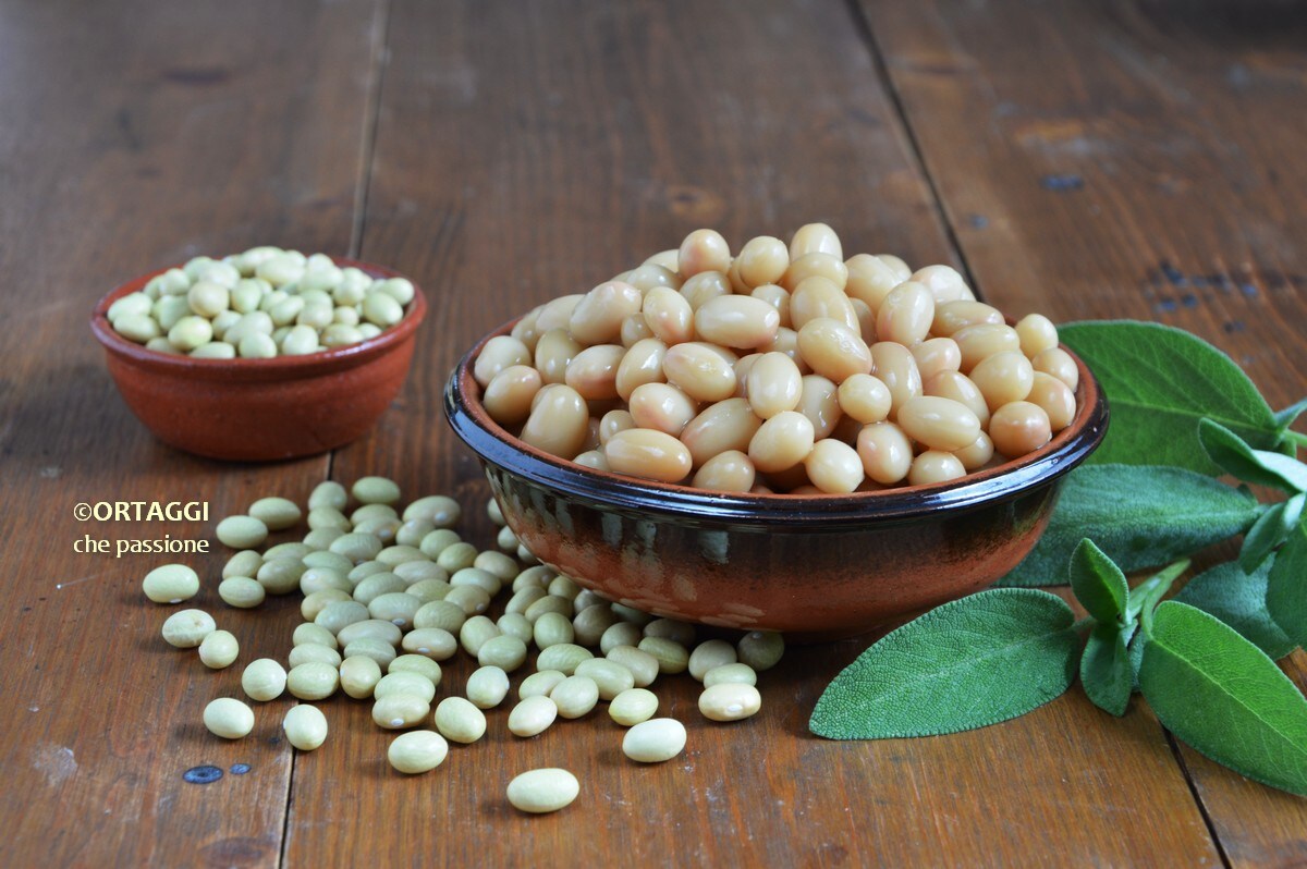 BEANS in pressure cooker – quick cooking