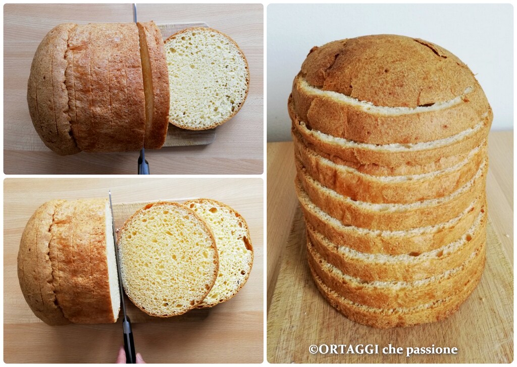cutting savory gastronomic panettone