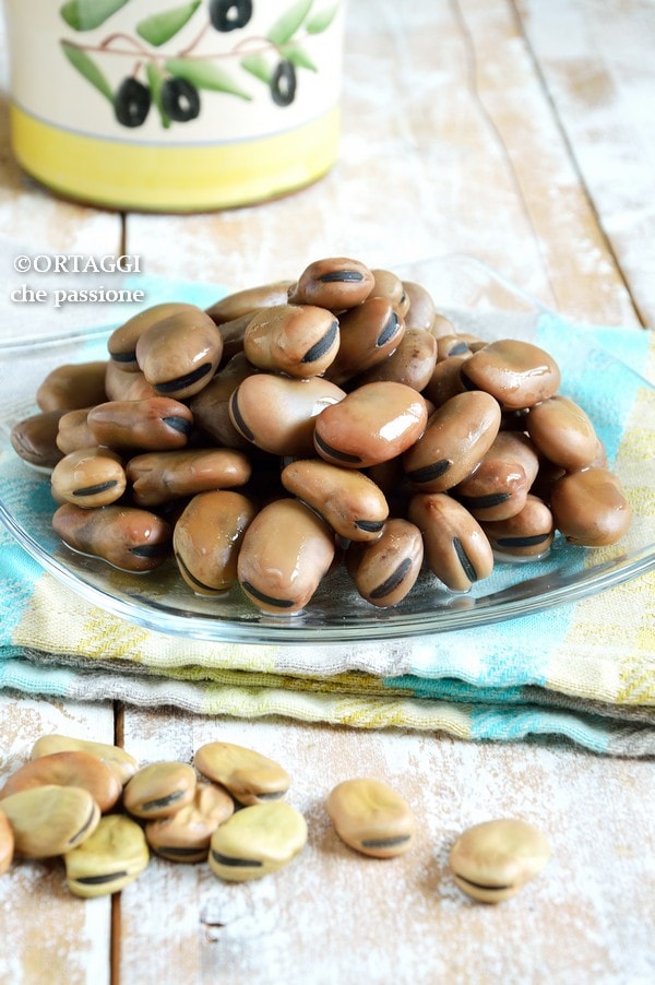 dried fava beans soaking and cooking
