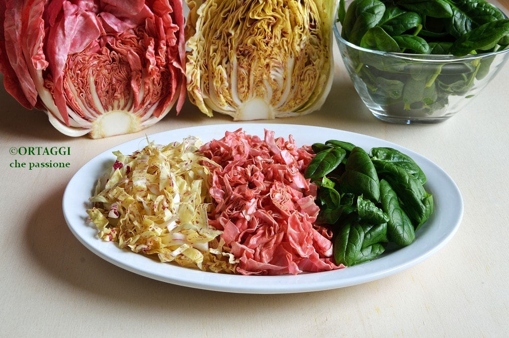 mixed winter salad - light appetizer recipe