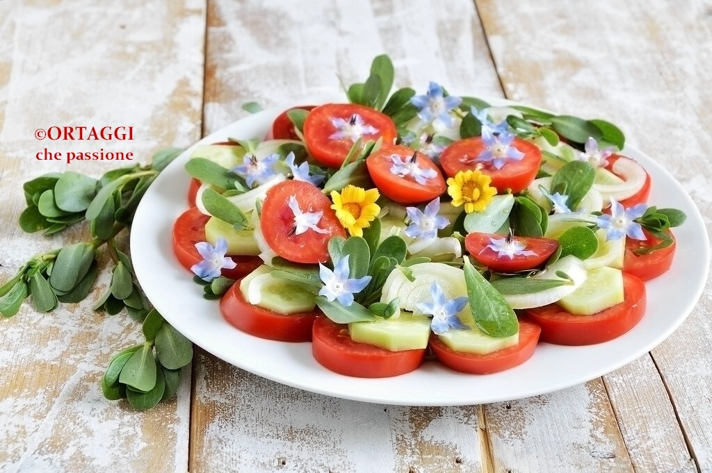 Ferragosto summer salad