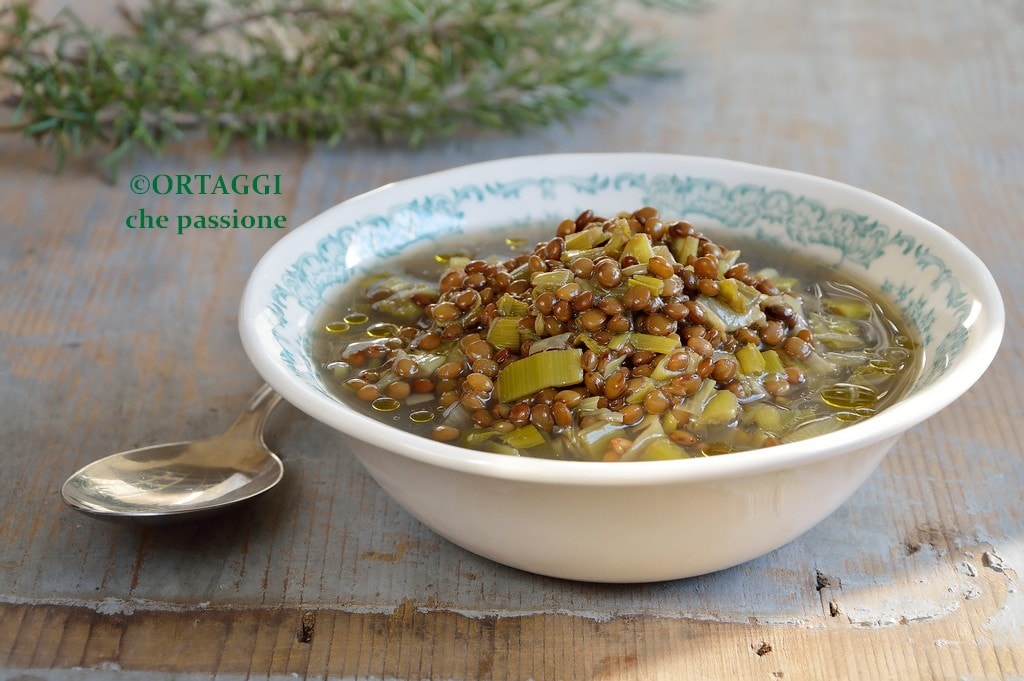 Leek and Lentil Curry Soup