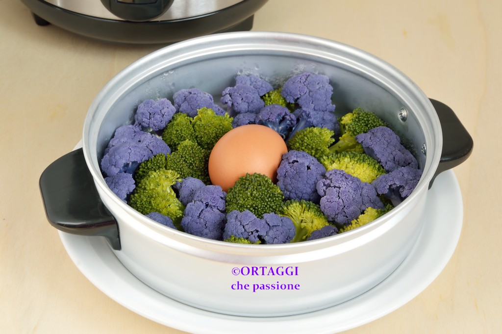Rice Cooker with Steamer – RECIPES and user instructions