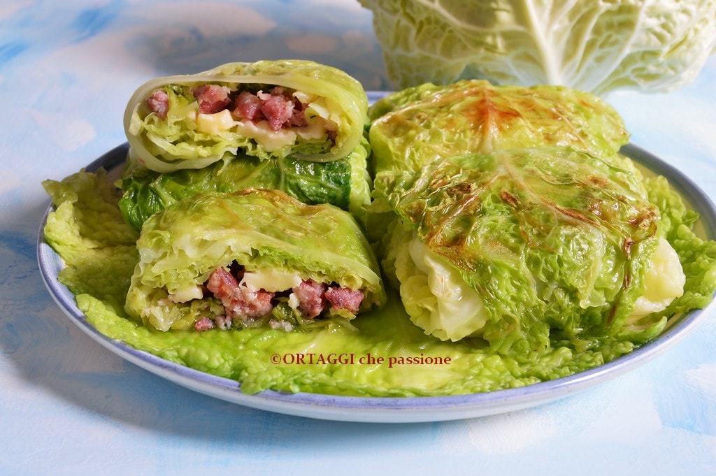 Simple Cabbage Rolls – Step-by-step Recipe