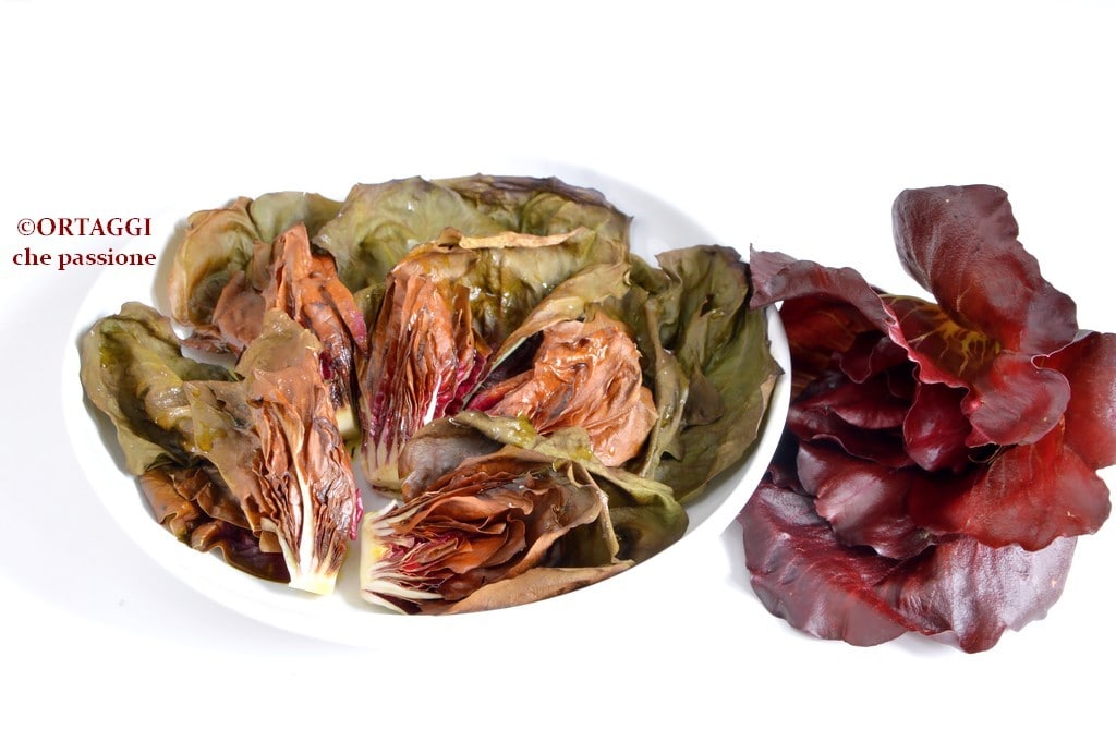Roasted Gorizia Rose