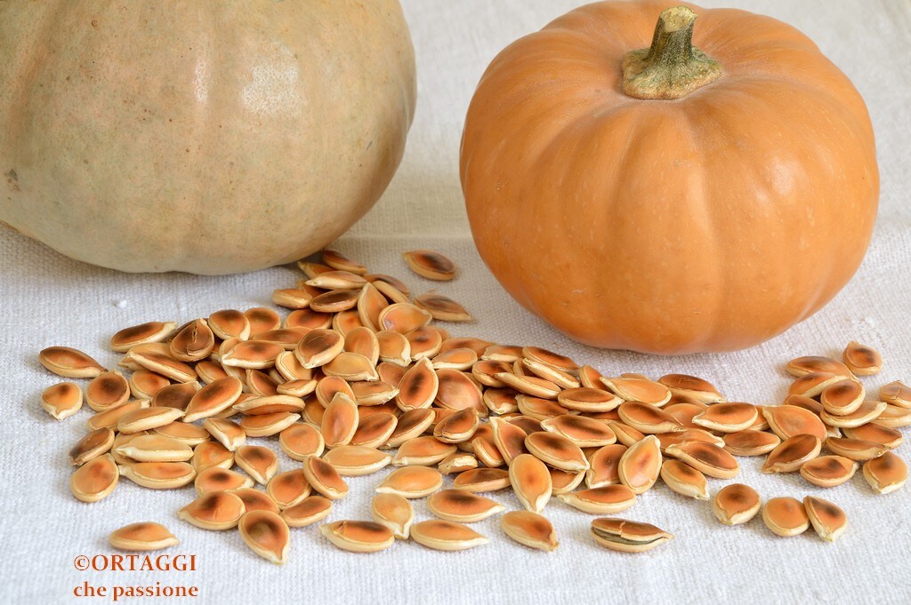 Quick Roasted Pumpkin Seeds – Various Cooking Methods