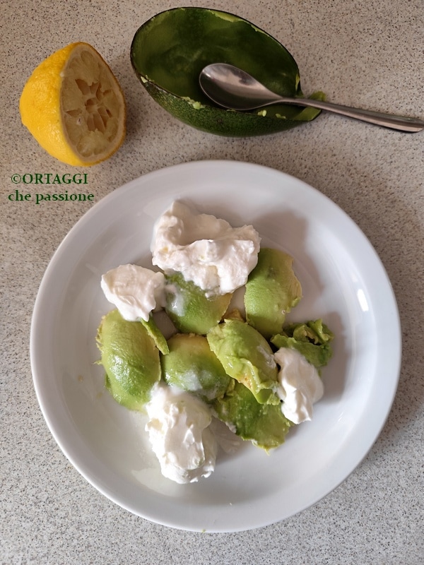 avocado pulp on a plate