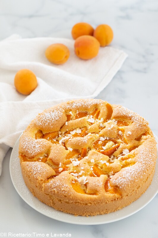 Apricot and Coconut Cake