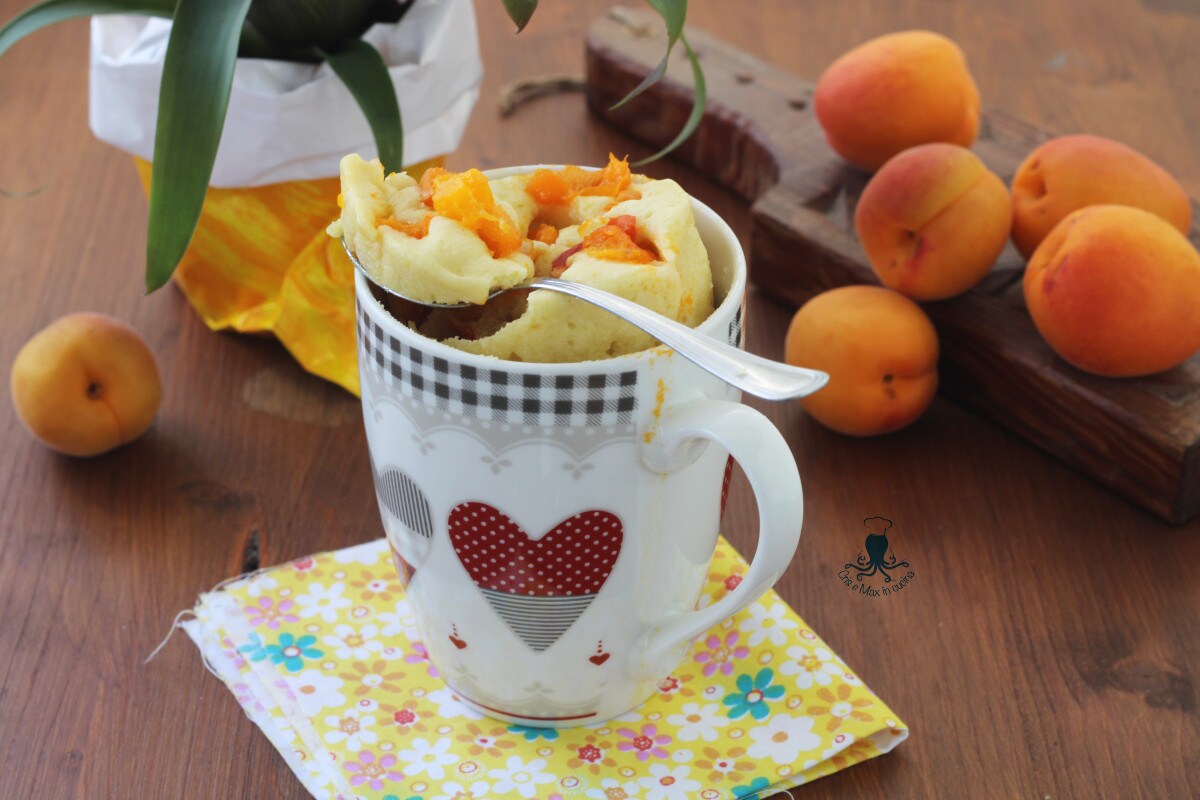 Apricot mug cake, sugar-free microwave recipe