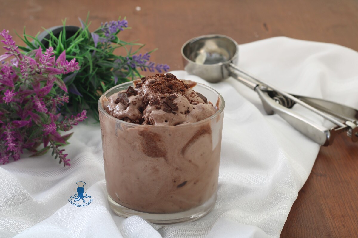 Banana and Cocoa Ice Cream