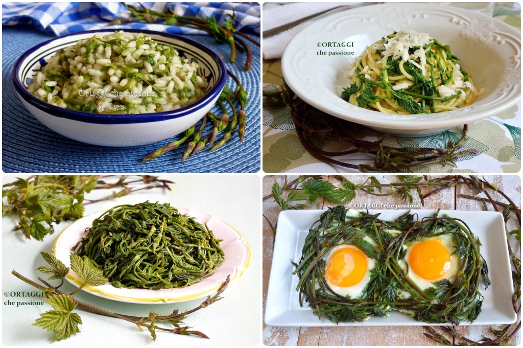 BRUSCANDOLI recipes