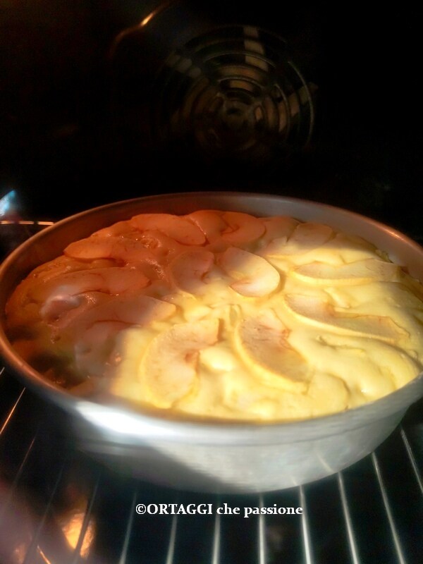 Bake the soft apple cake