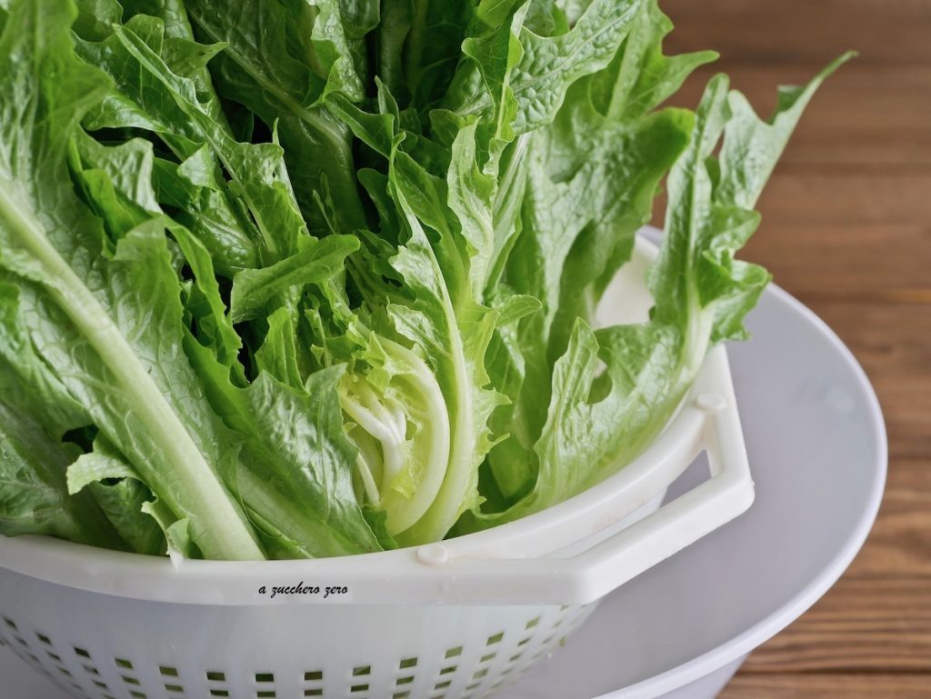 Boiled Catalogna Chicory or Field Chicory