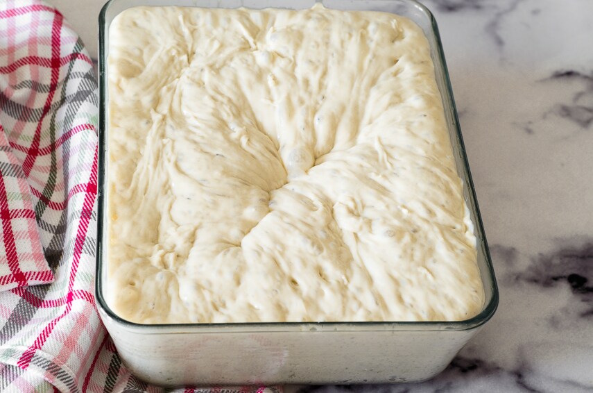 Pan Pizza with 24-hour Fermentation (Bonci Pizza)