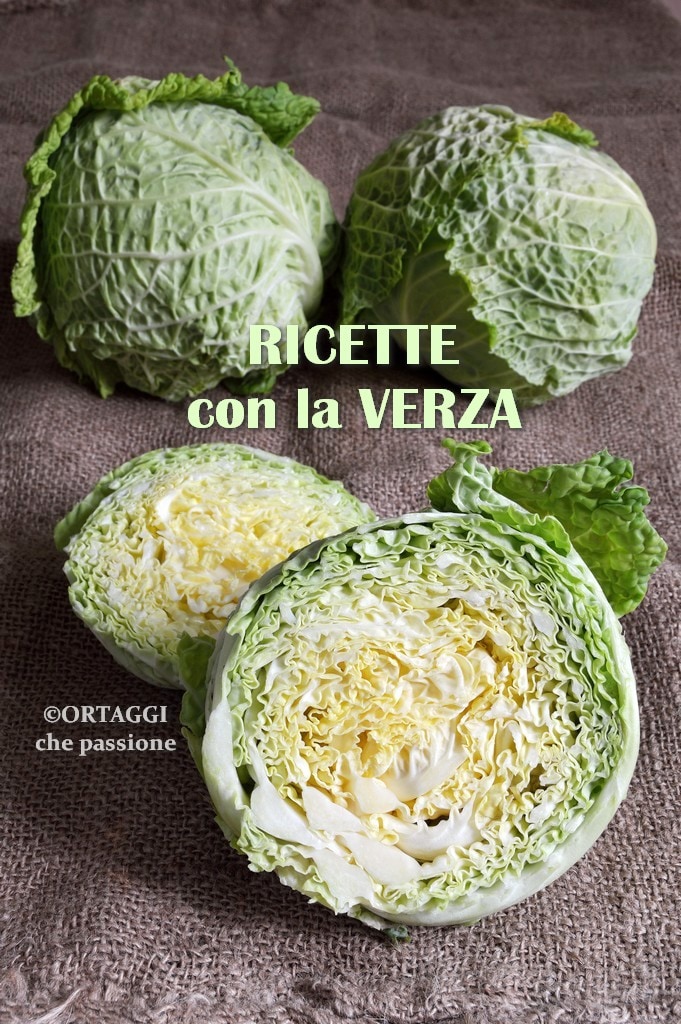CABBAGE quick and tasty recipes - Vegetables that passion by Sara Grissino