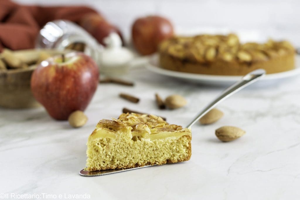 CINNAMON APPLE CAKE WITH RICE FLOUR