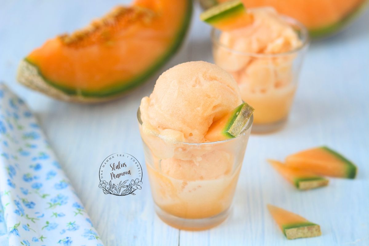 Cantaloupe Sorbet: Refreshing and Easy, With or Without Thermomix!