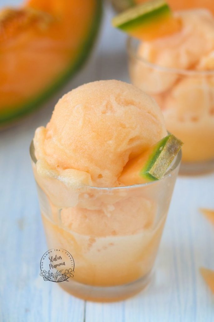 Cantaloupe Sorbet: Refreshing and Easy, With or Without Thermomix!