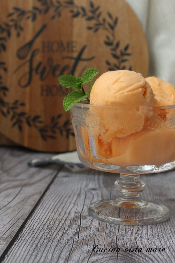 Cantaloupe Sorbet Seaside Kitchen