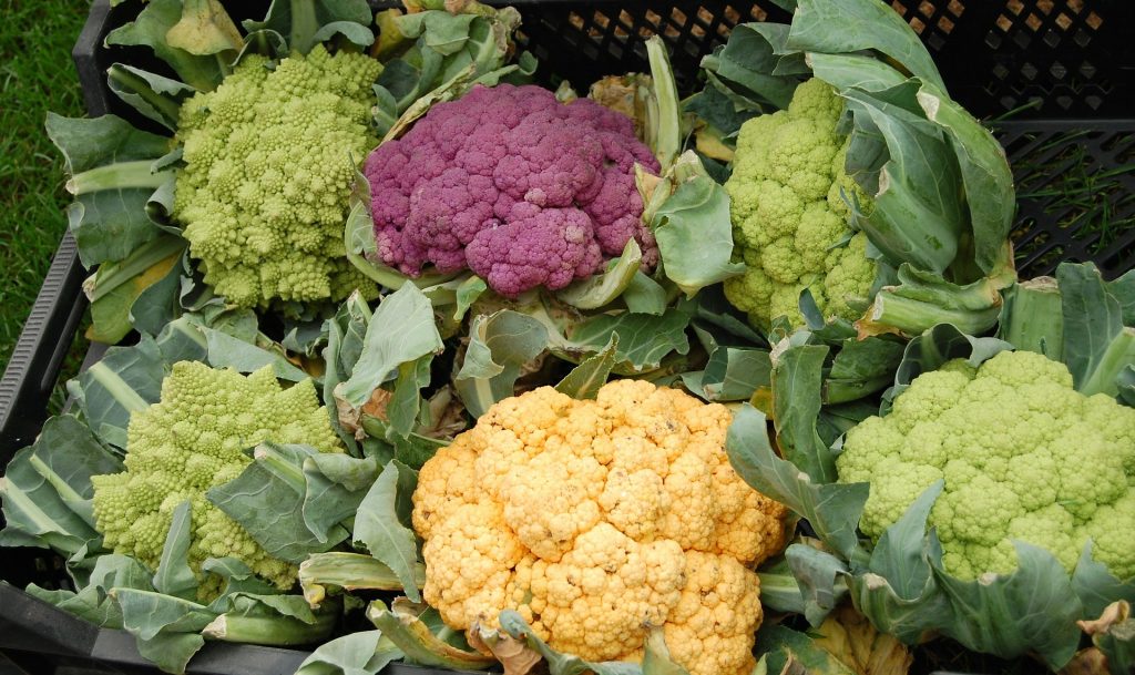 Top List of Cauliflower Recipes