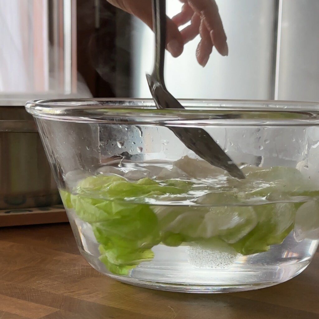 chicory leaves cooled in ice water