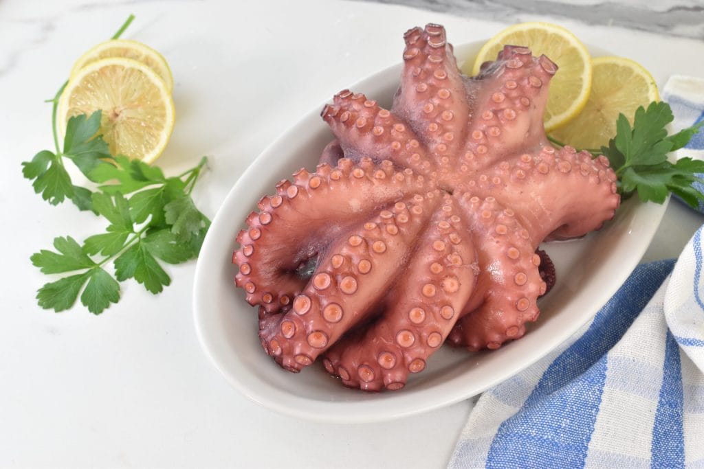 boiled octopus recipe