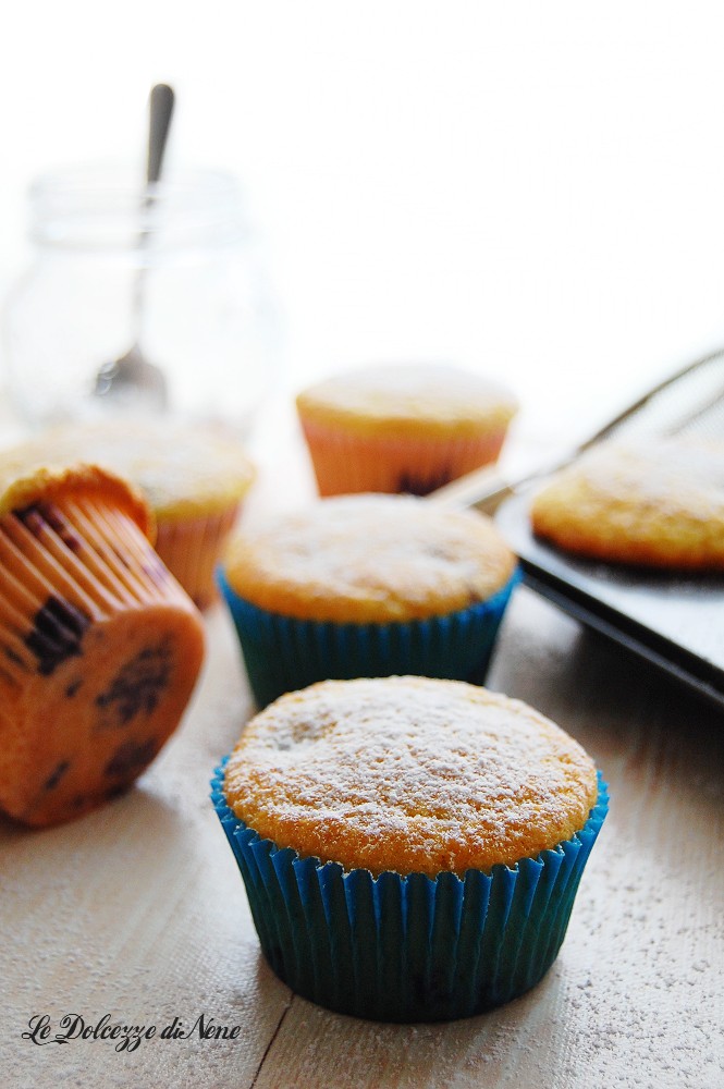 Coconut and Blueberry Cakes