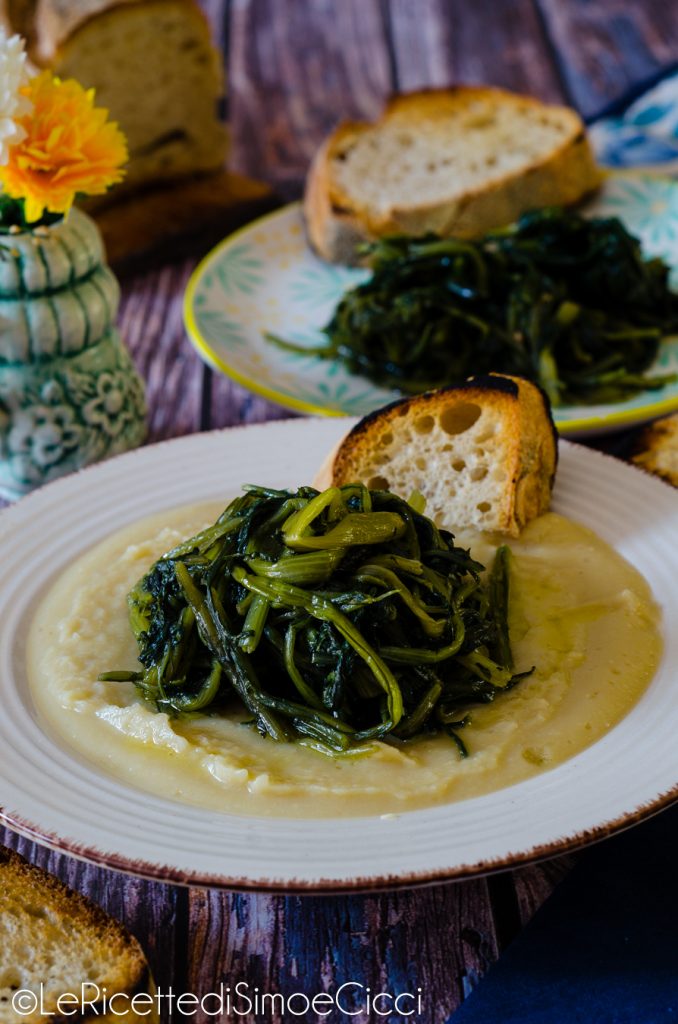 Fava Beans and Chicory
