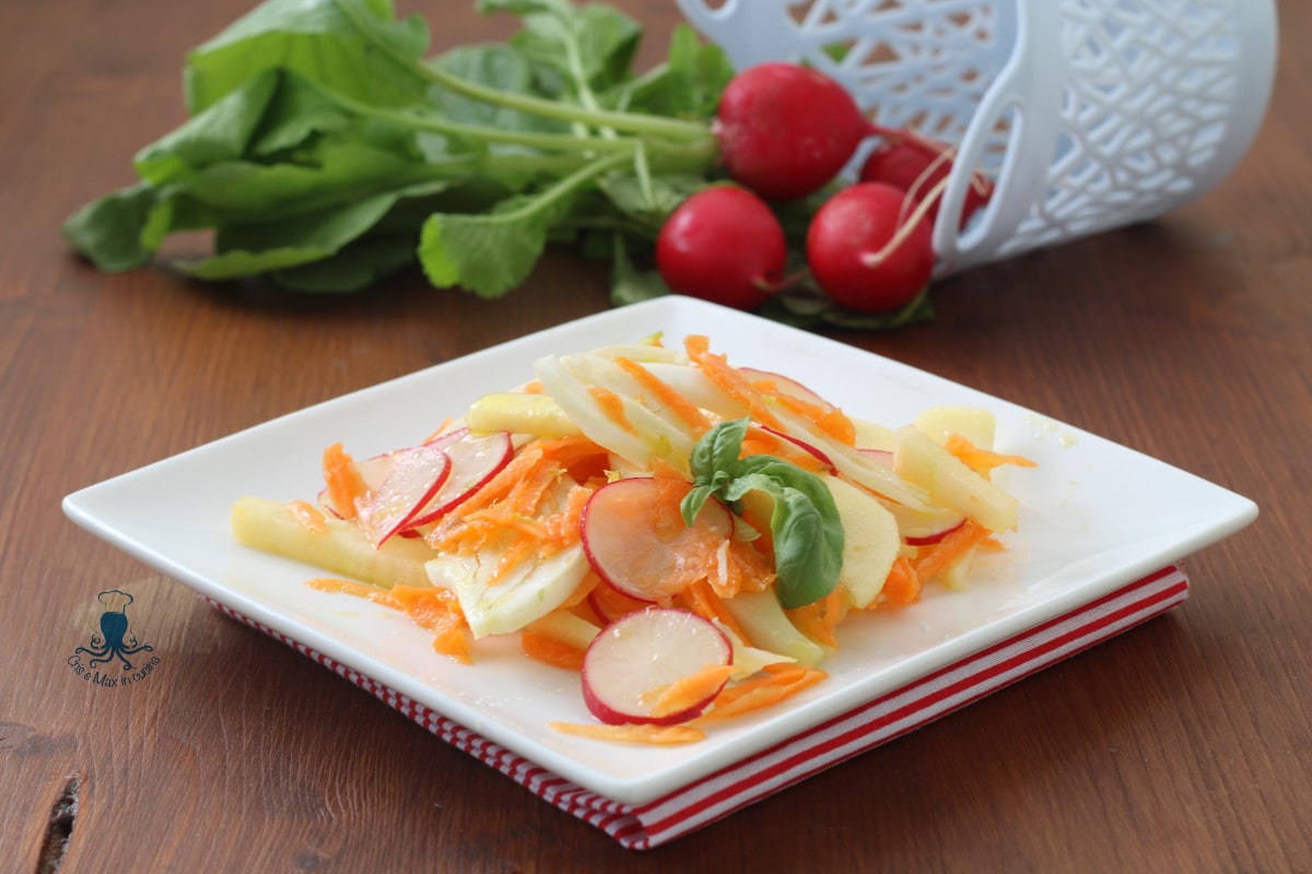 Fennel and Radish Salad