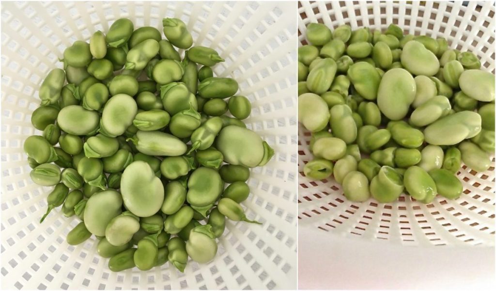 Fresh Fava Beans