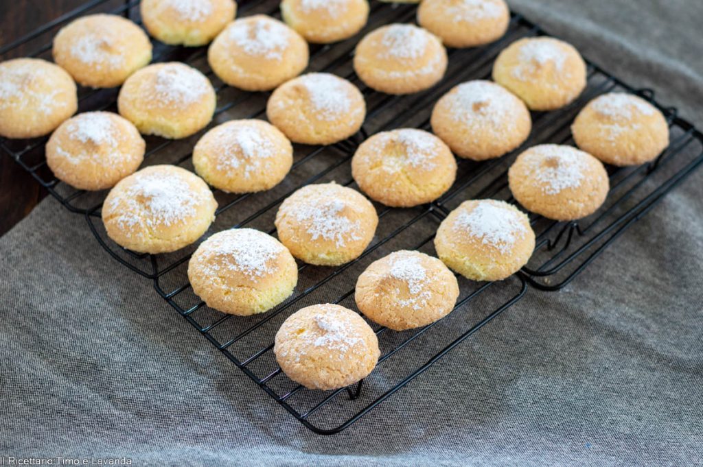 GLUTEN-FREE LADYFINGERS