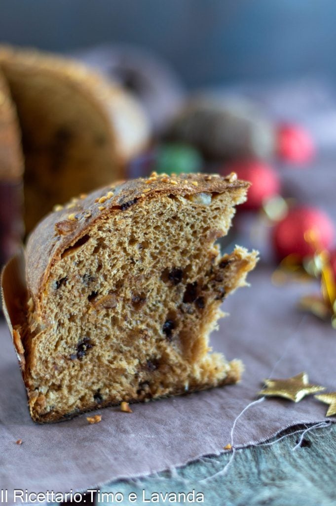 gianduja chocolate panettone