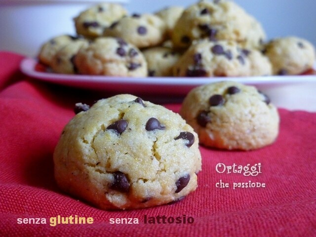 Gluten and lactose-free cookies, sweet recipes for celiacs VEGGIES that passion by Sara