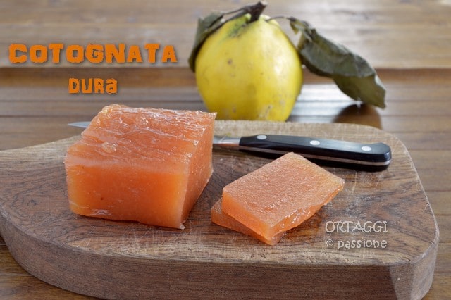 HARD QUINCE PASTE – Grandma’s recipe