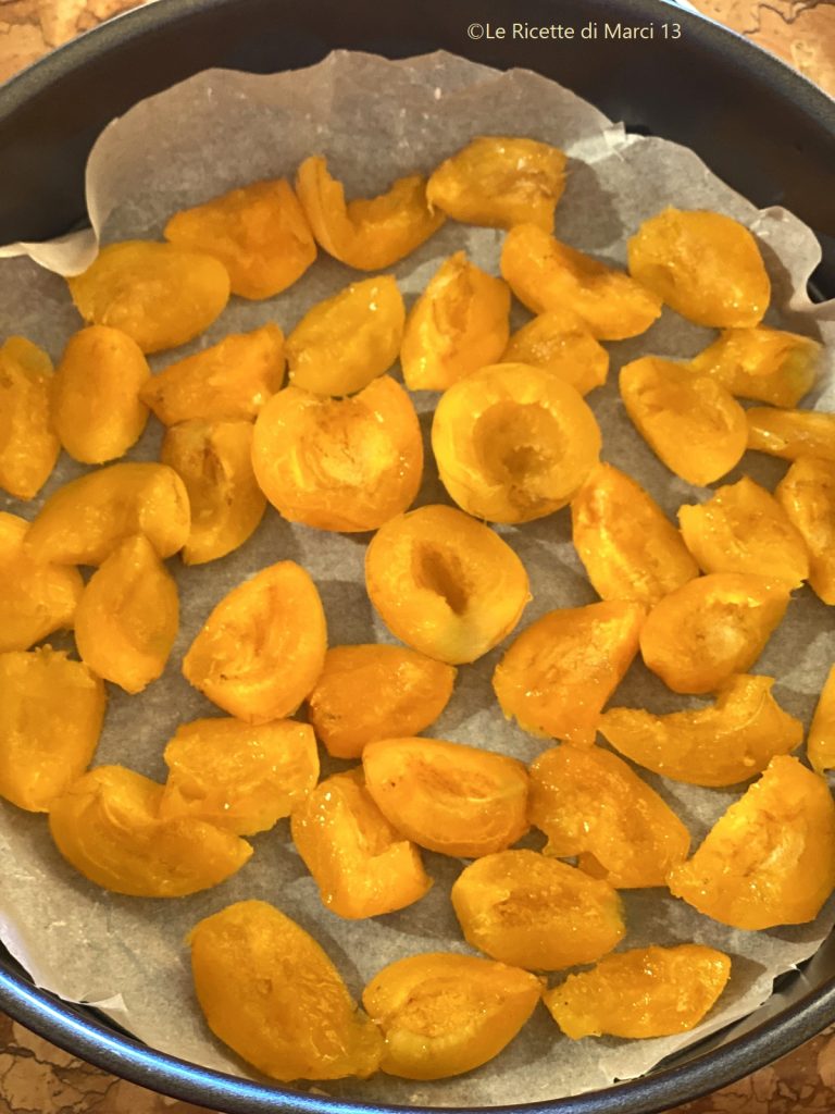 Soft Fresh Apricot Cake