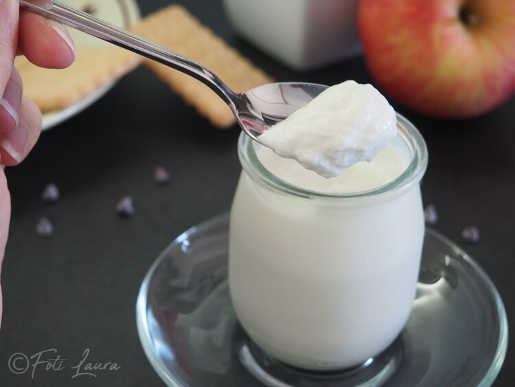 Creamy Homemade Yogurt with the Silvercrest Bread Maker