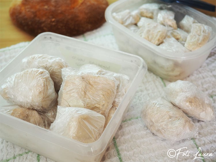 How to freeze fresh brewer's yeast