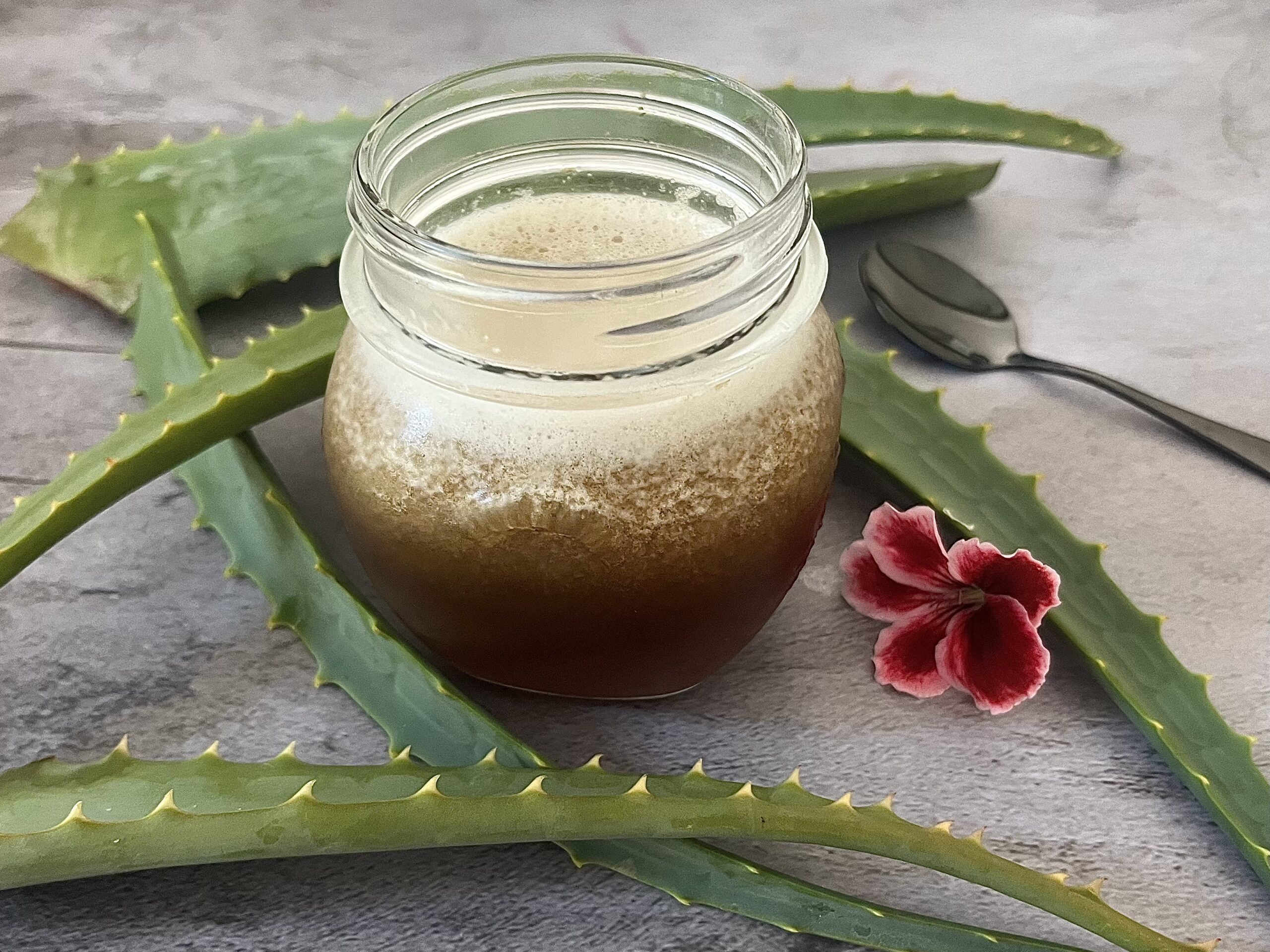 Aloe Elixir