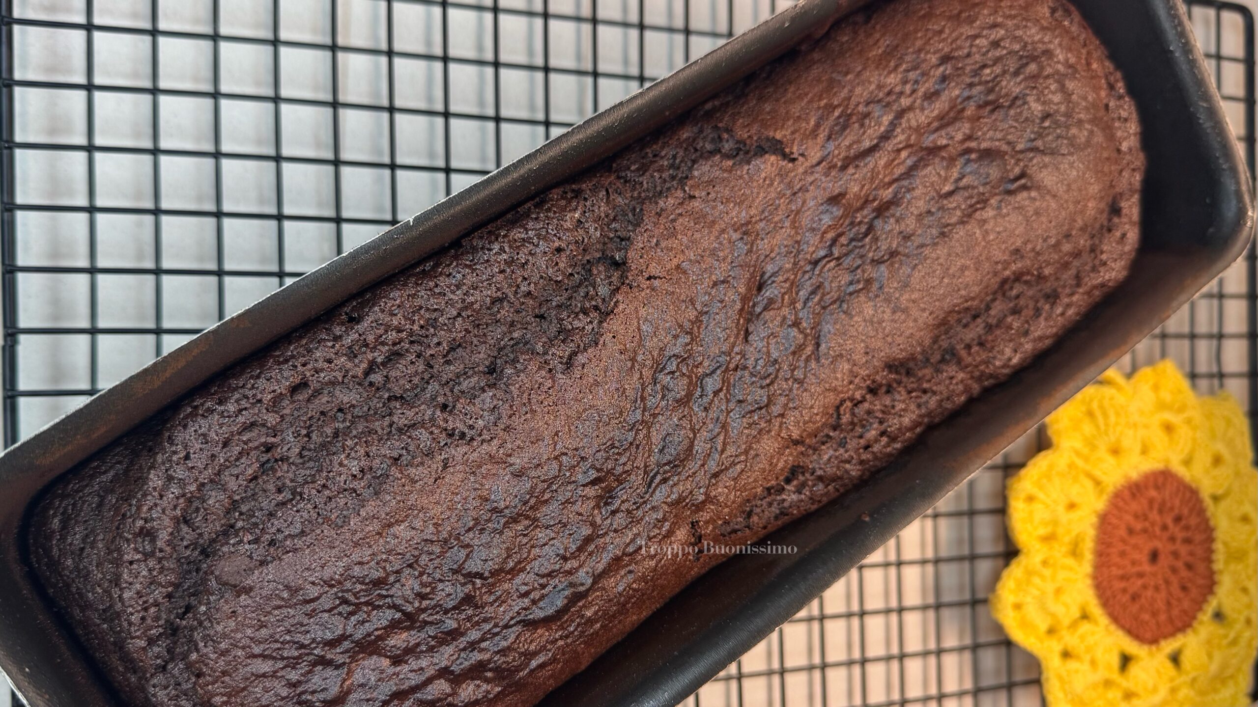 Seven Jars Chocolate Plum Cake: Soft and Delicious