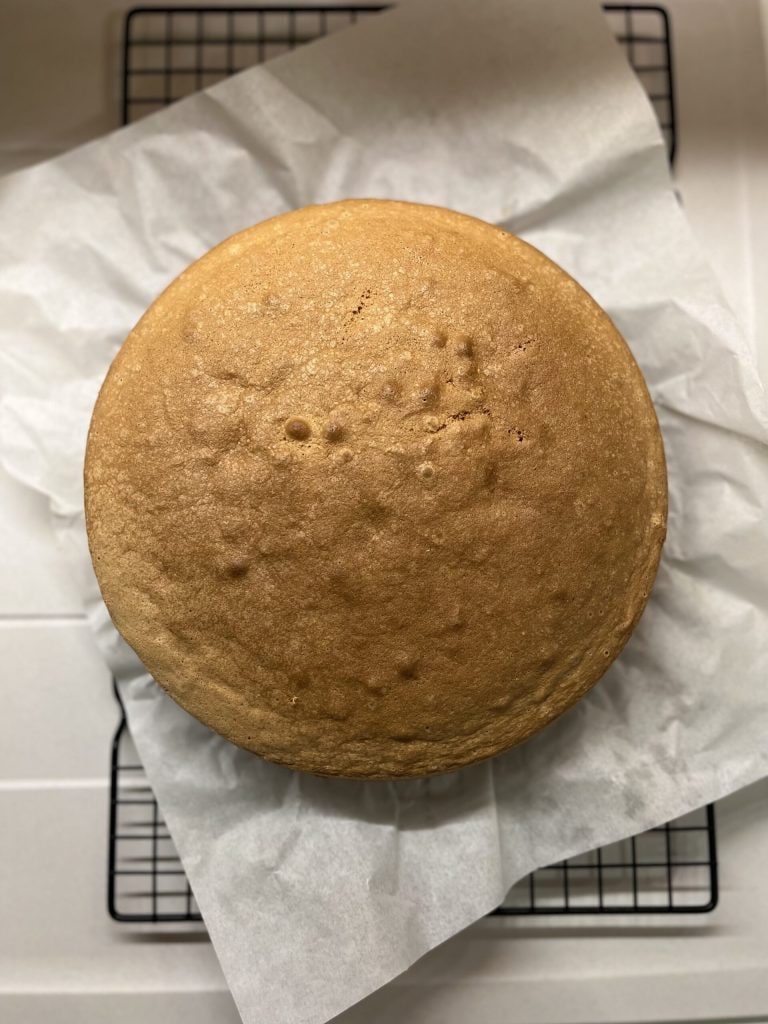 sponge cake