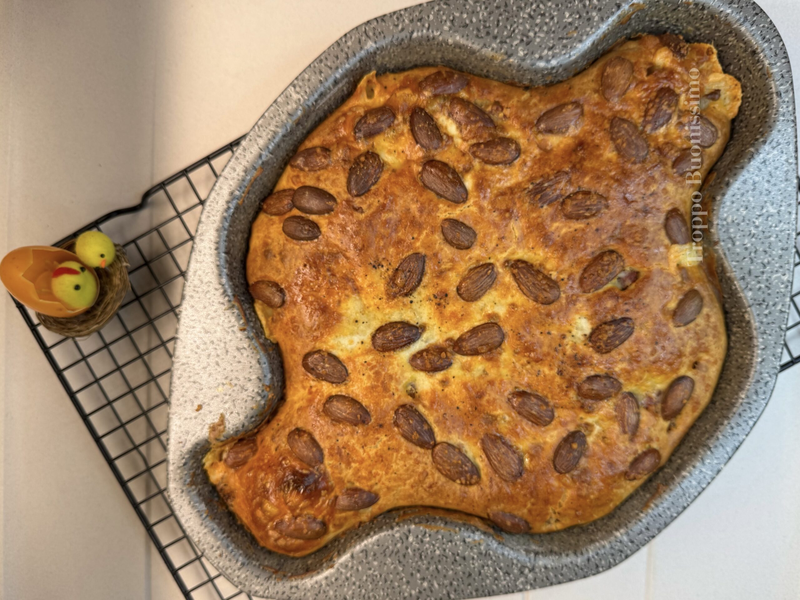 Savory Easter Colomba: The Easy and Quick Recipe