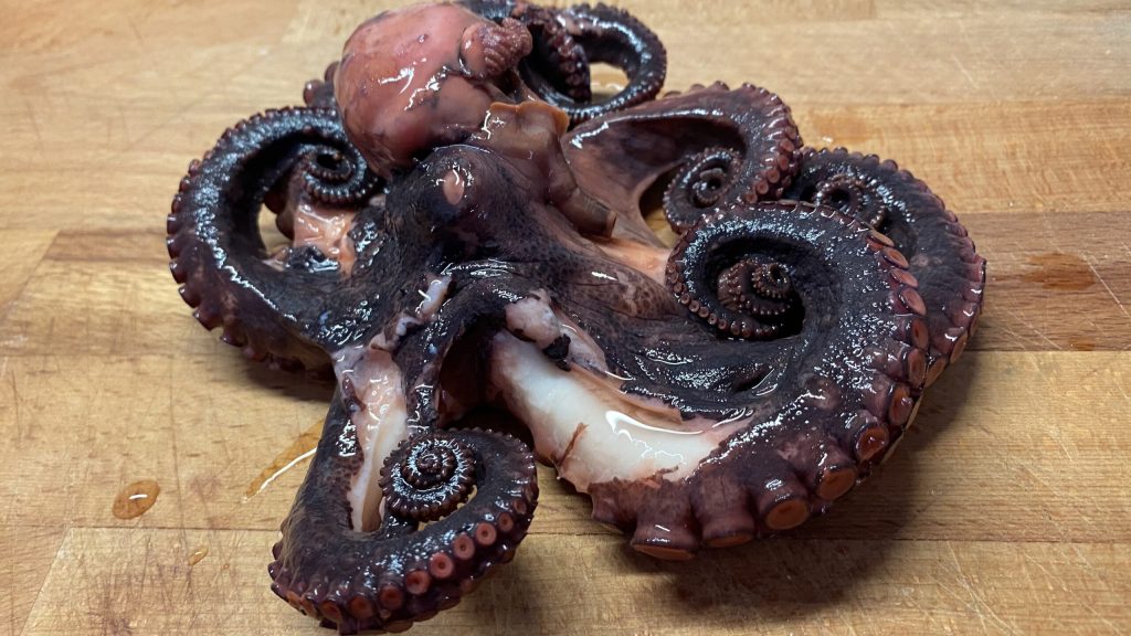 Super Tender Frozen Octopus Salad