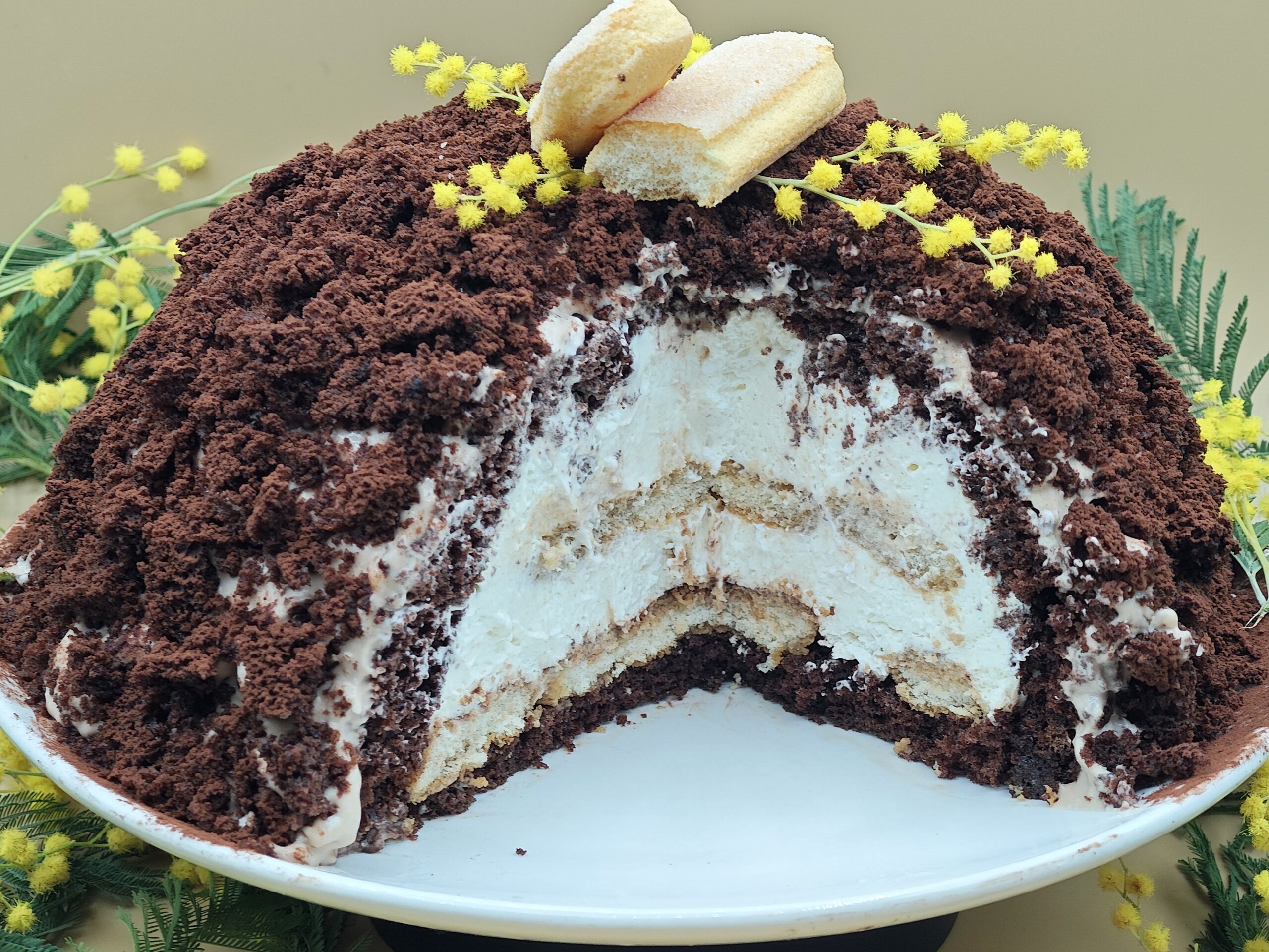 Mimosa Tiramisu Dome Cake