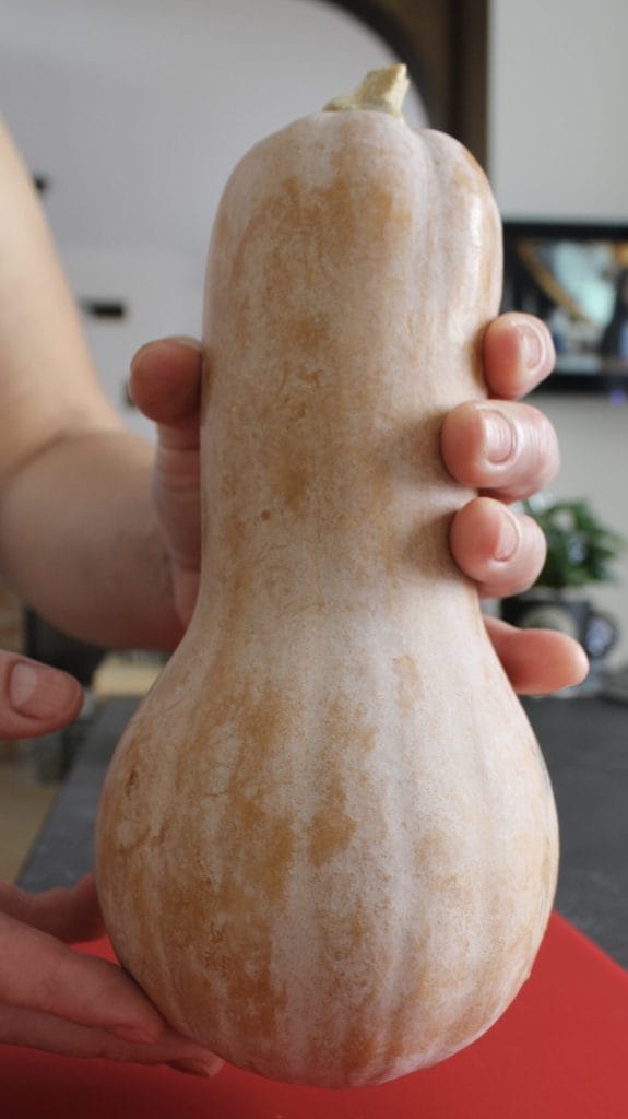butternut squash as the main ingredient in making pumpkin cupcakes or Halloween pumpkins